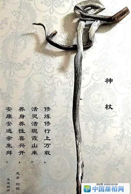 刘锐：《神杖》&《太行琴语》