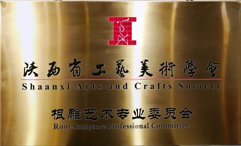 陕西省工艺美术学会第六届会员代表大会隆重举行