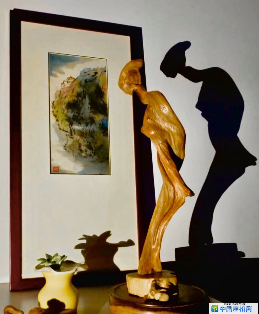 杨喜林的崖柏根雕作品《维纳斯》