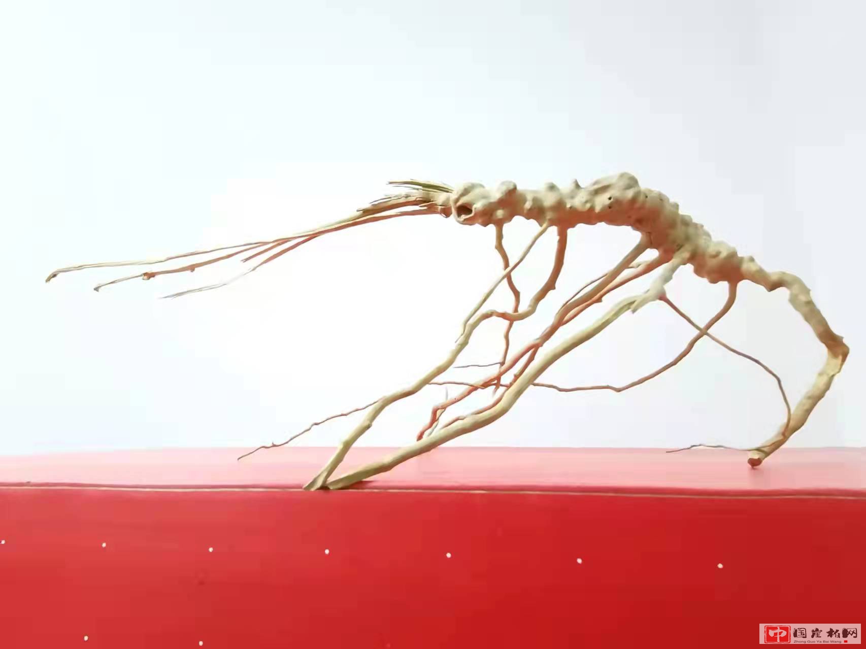 《虾趣图》黄荆根作品  高16厘米  重100克
